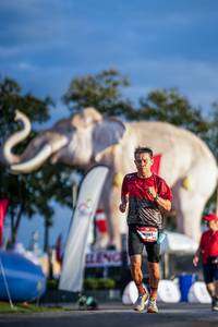 BIB: 
                            <button type="button" onclick="openModal(26541351)" class="btn btn-primary btn-sm float-right btn-popup" data-toggle="modal" data-target=".modal-high-quality">
                        <i class="fas fa-shopping-cart"></i> Add to Cart
                    </button>
                                            <button type="button" onclick="isThisMe(26541351, true)" class="btn btn-success btn-sm float-right btn-popup btn-isme hidden" data-toggle="tooltip" data-placement="bottom" title="นี่คือรูปของคุณใช่ไหม คลิกที่นี่เพื่อเอาเข้าอัลบั้ม">
                        <i class="fas fa-plus"></i> Add to album
                    </button>
                    <button type="button" onclick="isThisMe(26541351, false)" class="btn btn-warning btn-sm float-right btn-popup btn-isnotme hidden">
                        <i class="fas fa-ban"></i> Remove from album
                    </button>